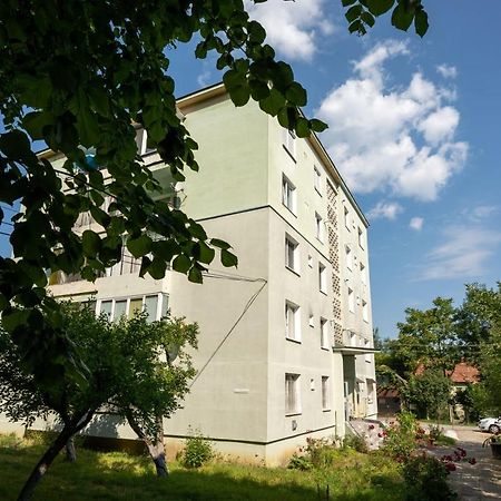 Nya Apartment Sighişoara Exteriér fotografie