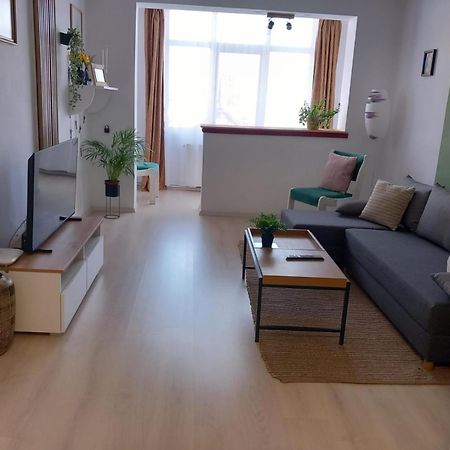 Nya Apartment Sighişoara Exteriér fotografie