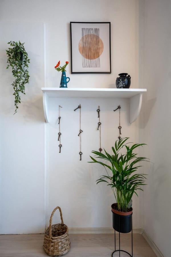 Nya Apartment Sighişoara Exteriér fotografie
