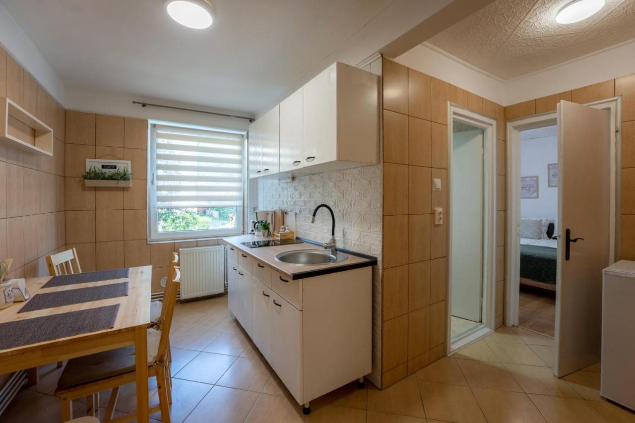 Nya Apartment Sighişoara Exteriér fotografie